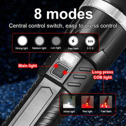 Multifunction LED Torch & Power Bank